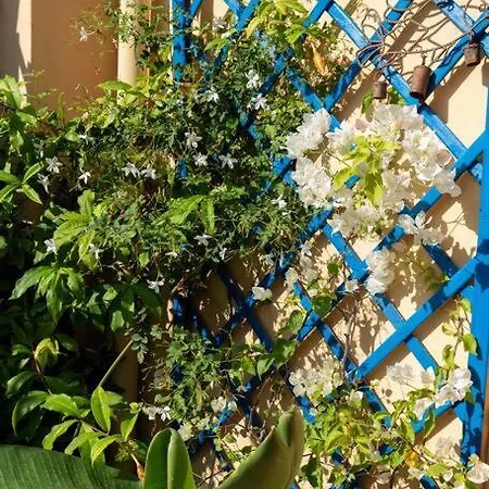Bella Vista Sant Orsula 2 Bedroom View Terrace Historic Center Spacious